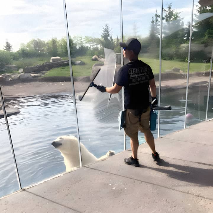 man cleaning zoo window with polar bear